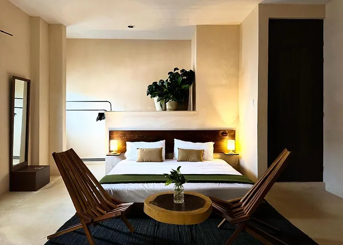 Casa Paseo Montejo / Merida Yucatan Centro 01
